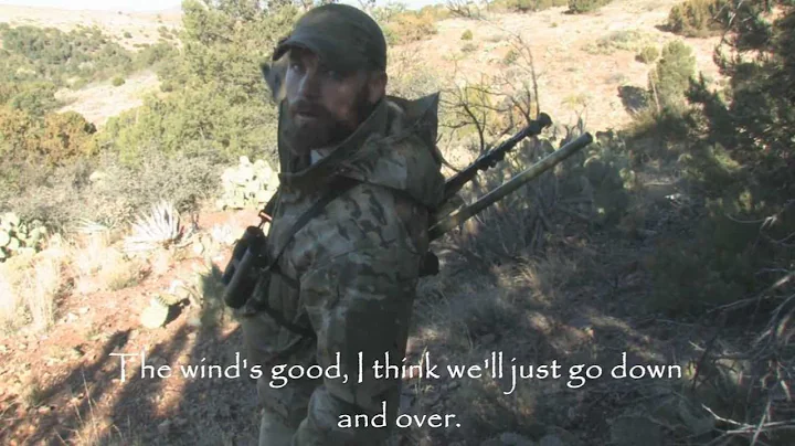 Coyote Hunting - Javelina w/ a Side of Grey