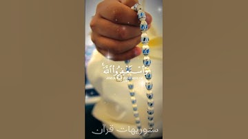 و استغفروا الله إن الله غفور رحيم بصوت القارئ ناصر القطامي