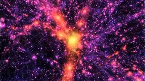 Large Scale Structure of the Universe