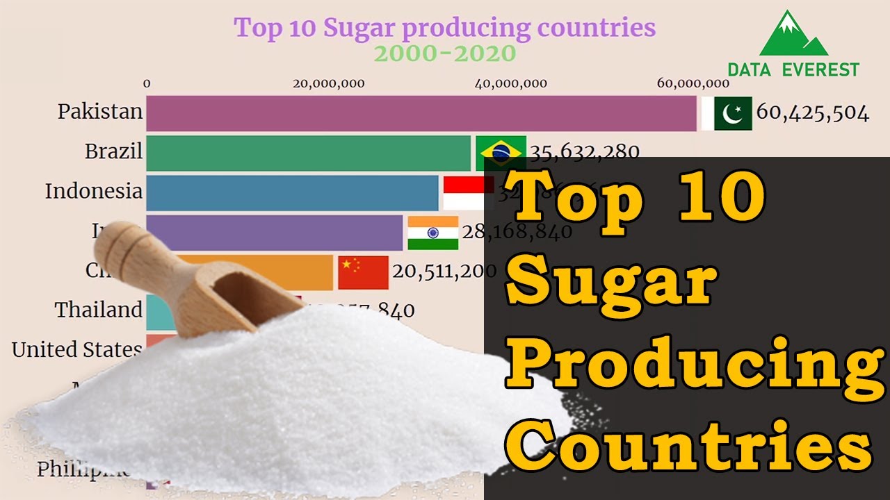 TOP 10 SUGAR PRODUCING COUNTRIES [ 2000 2020 ] SUGARCANE PRODUCING