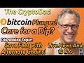 Bitcoin plunges care for a dip time to buy cryptodads live qa