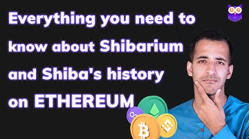 Everything you need to know about Shibarium and Shiba