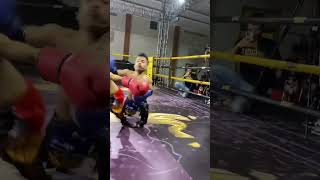 boxer with petite body posture  #tranding