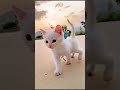 video 3
