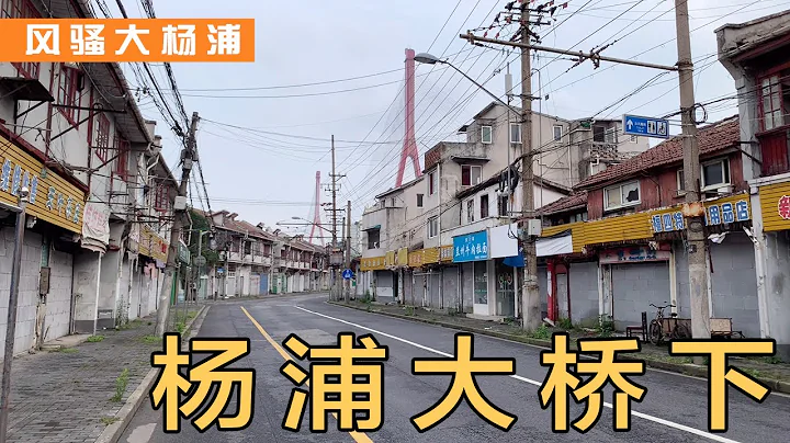 杨浦大桥下｜繁华落尽、寂静无声，这也是内环边上的上海 - 天天要闻