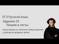 20 задание ЕГЭ Теория и выполнение  тестов