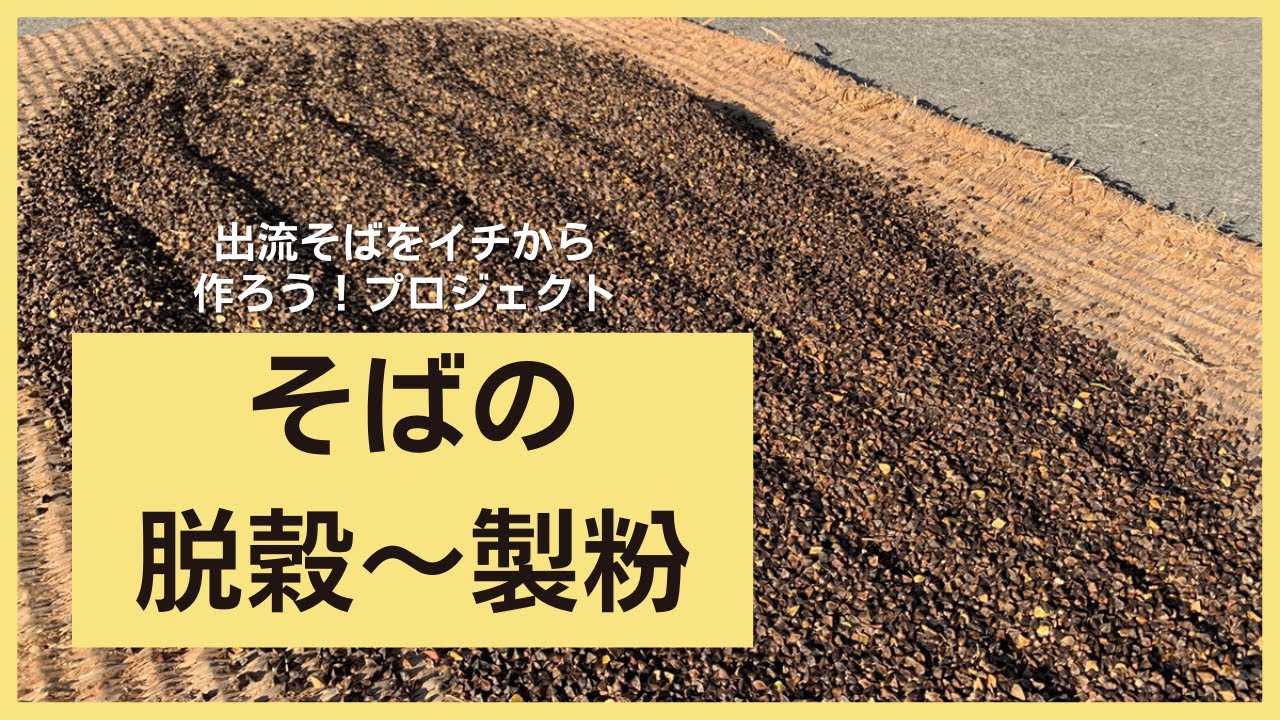 【そばの脱穀、製粉】出流そばをイチから作ろうプロジェクト