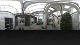 Gentrified Office Space: Outside and Not Crowded (360-Degree Video for Exposure Therapy)