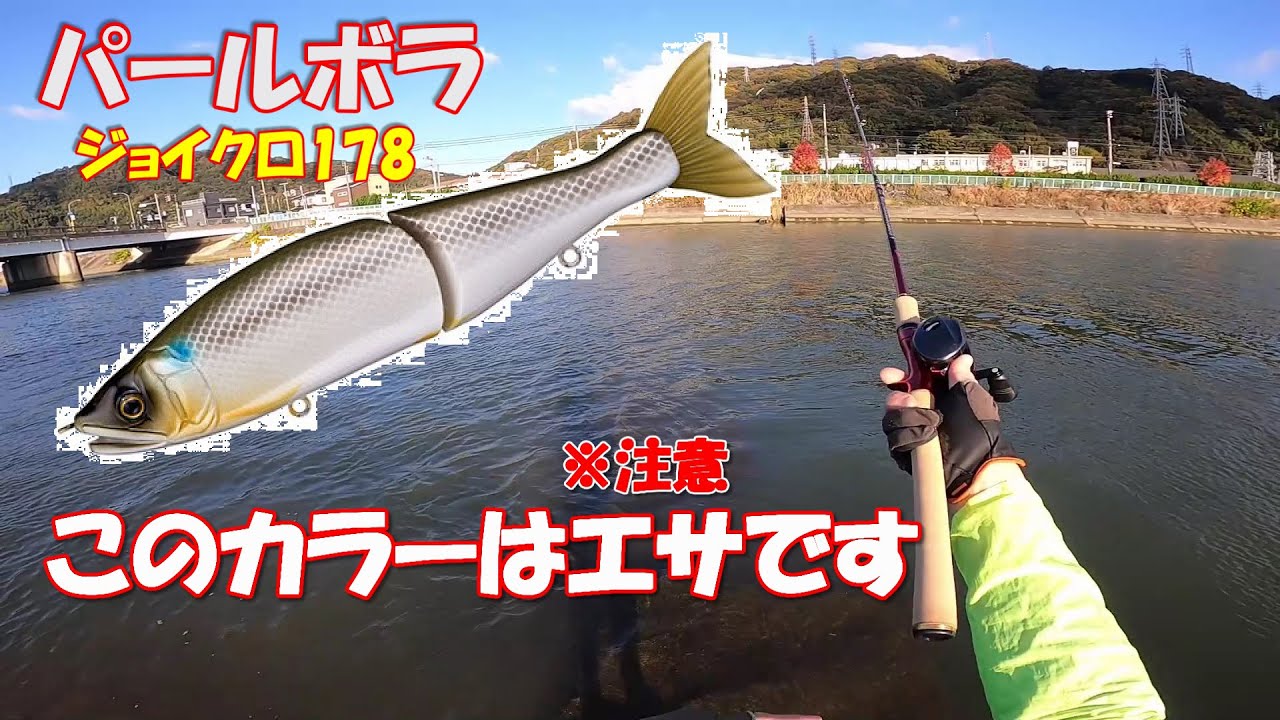 シーバス ジョイクロはエサ釣り Youtube