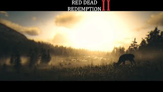 RED DEAD REDEMPTION 2 #49 Совсем страх потеряли