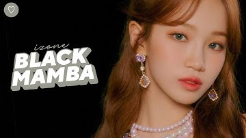 [How would] IZ*ONE (아이즈원) // BLACK MAMBA (AESPA) – Line Distribution