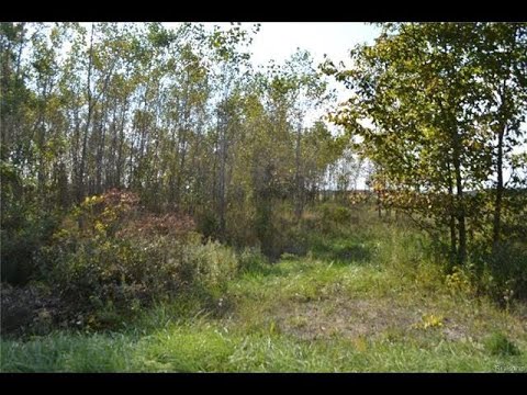 9400 Nichols Road S, Gaines, MI home video tour