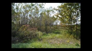 9400 Nichols Road S video tour