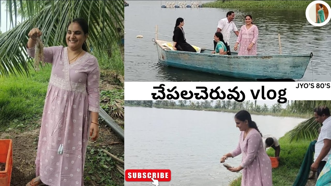 భీమవరం చేపలచెరువులు రొయ్యల చెరువులు Vlog 