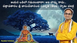 ఆయన ఒడిలో గమనించారా? అది విగ్రహం కాదు | Vasudevananda Saraswathi (Tembe) Swami | Nanduri Srinivas