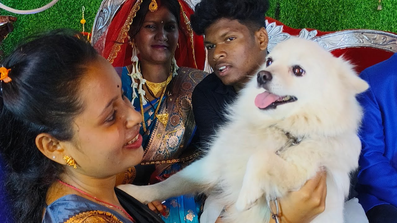 mili babblu is live!