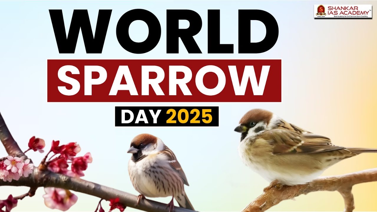 World Sparrow Day 2025: Declining Sparrow Population & Conservation Efforts | Shankar IAS Academy