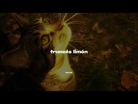 "Te besaré, me besarás...." || Frances Limón - Los enanitos verdes (Letra/Lyrics)