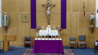 Standing for Christ the King in a 'Synodal' World