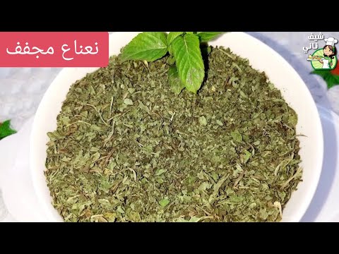 نعناع مجفف بالبيت بدون متسود لونه بطريقة سهله ومضمونة