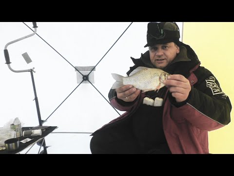 Ловля карася зимой!