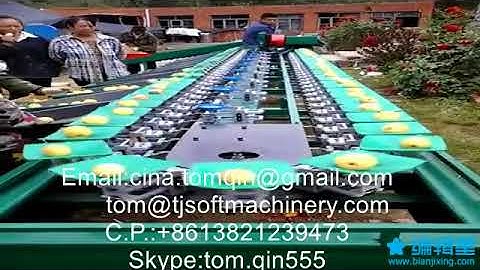 pear apple peach nectarine kiwifruit sorting grading machine