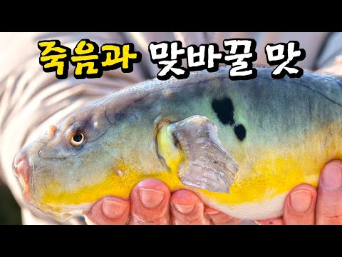 &amp;quot; 한국에서 <strong>가장</strong> 비싼 복어는 무슨 맛일까?(입질의 <strong>추억의</strong> 어식탐구 EP.02)