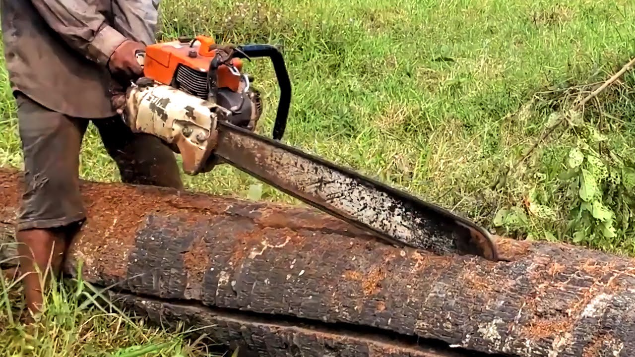 Heavy Machinery Cutting Dead Palm Tree Under Ground With Amazing Faster ...