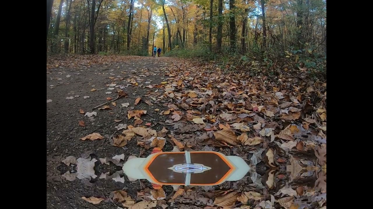 Trail Crawlling  Ott Biological Preserve