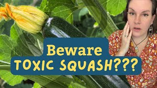 Beware Toxic Squash?! @ParkrosePermaculture