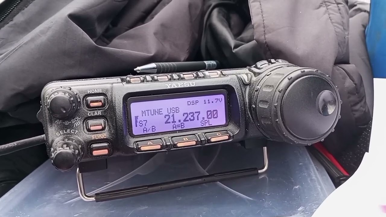 Предновогодний выезд в лес на лыжах 