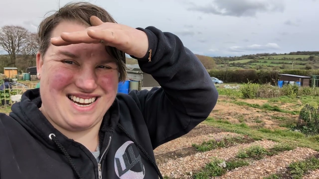 First spring plantings on the allotment.