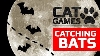 CAT GAMES - 🦇 CATCHING BATS (ENTERTAINMENT VIDEOS FOR CATS TO WATCH) 60FPS screenshot 5