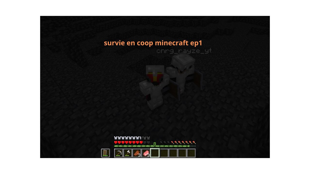 survie minecraft en coop ep 1 - YouTube