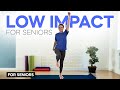 20 minute low impact exercise for seniors burn belly fat