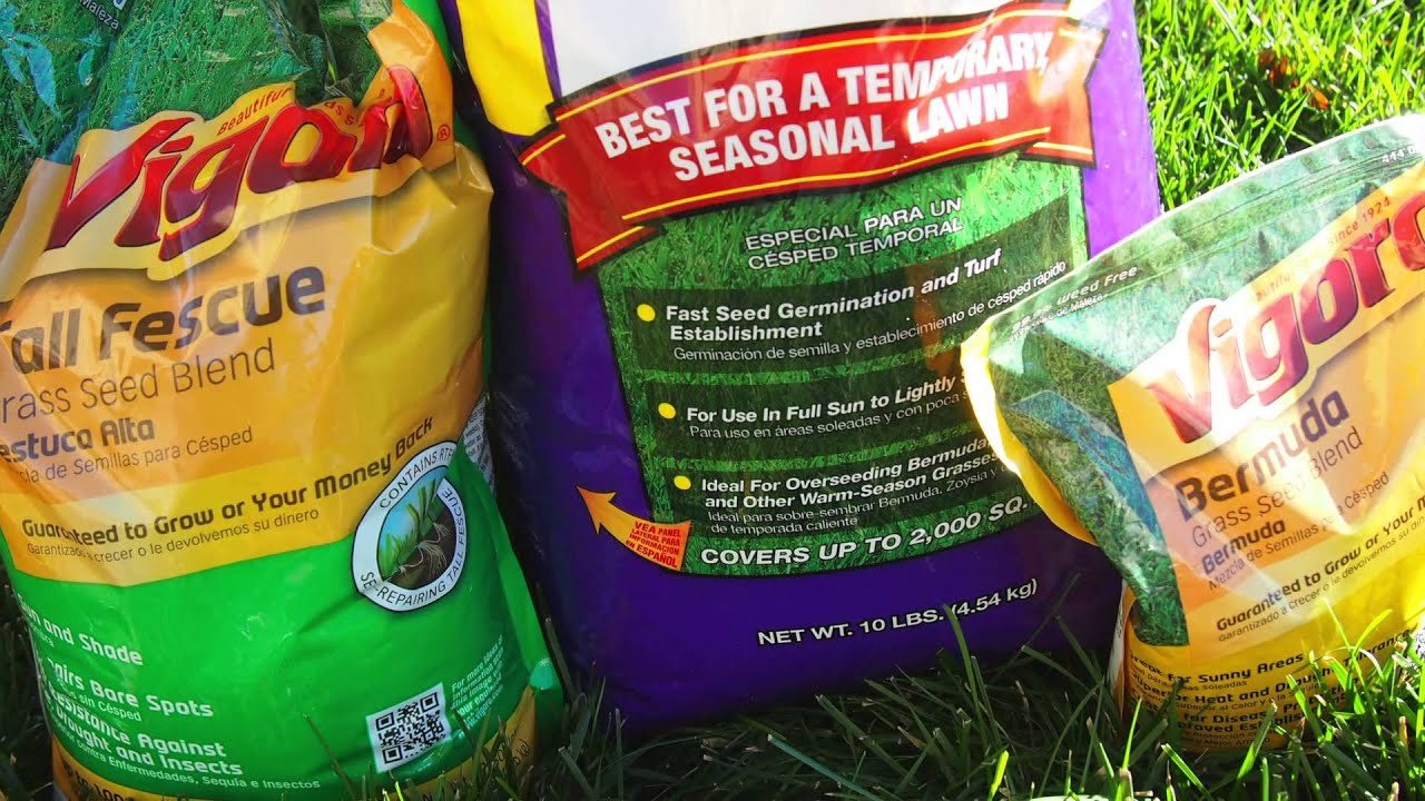 When To Plant Grass Seed YouTube