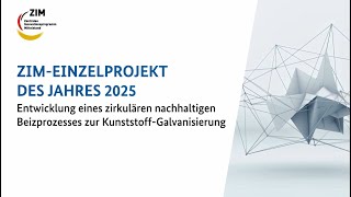 Nachhaltige Galvanisierung Zim-Projekt Des Jahres 2025