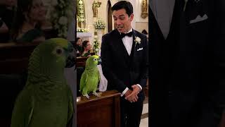 pepe apareció en la boda y dejó al novio pensando 🦜😂