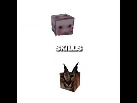 Floppa vs bingus (all forms)