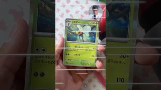 Holo Beedrill pulled! #pokemontradingcards #pokemoncards #pokemon151 #japanesepokemoncards
