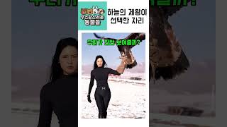 하늘의 제왕이 선택한 자리