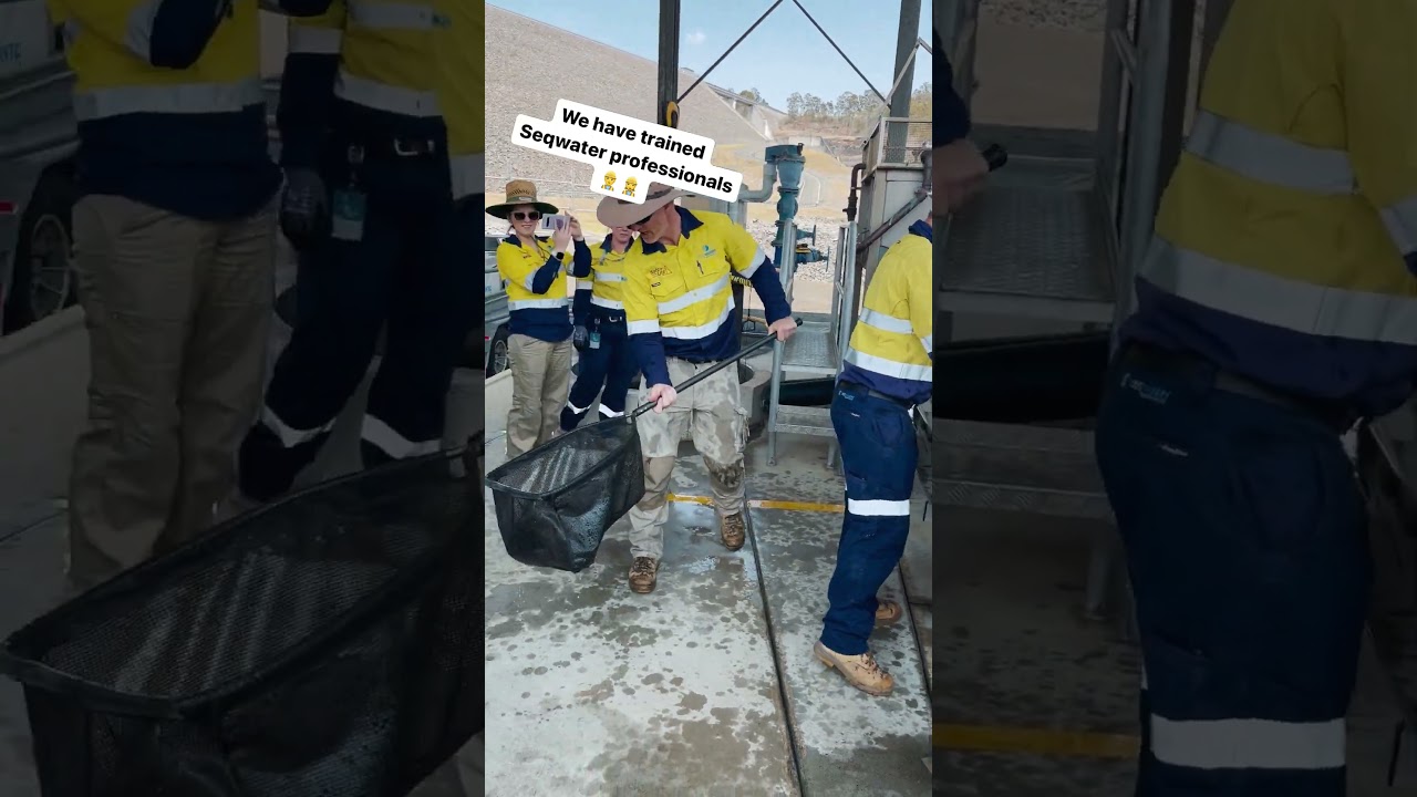 Ever wondered how fish migrate?