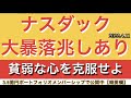 ナスダック大暴落の兆しあり。貧弱な心を克服せよ4.11