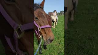 Riding bareback back to the paddock