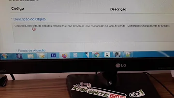 O que colocar ocupação MEI?