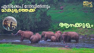 Munnar Escape road to Mankulam | Anakkulam | Ep 4 of Idukki hill stations