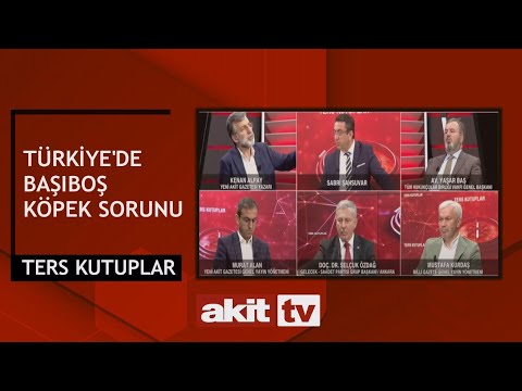 Ters Kutuplar - Türkiye'de başıboş köpek sorunu 31.05.2024