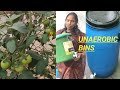  Part 2 ఫ్రీ గా సప్లై చేసిన అనారోబిక్ బిన్స్ | కిచెన్ వేస్ట్ తో కంపోస్ట్ రెడీ | మట్టి లేకుండా 