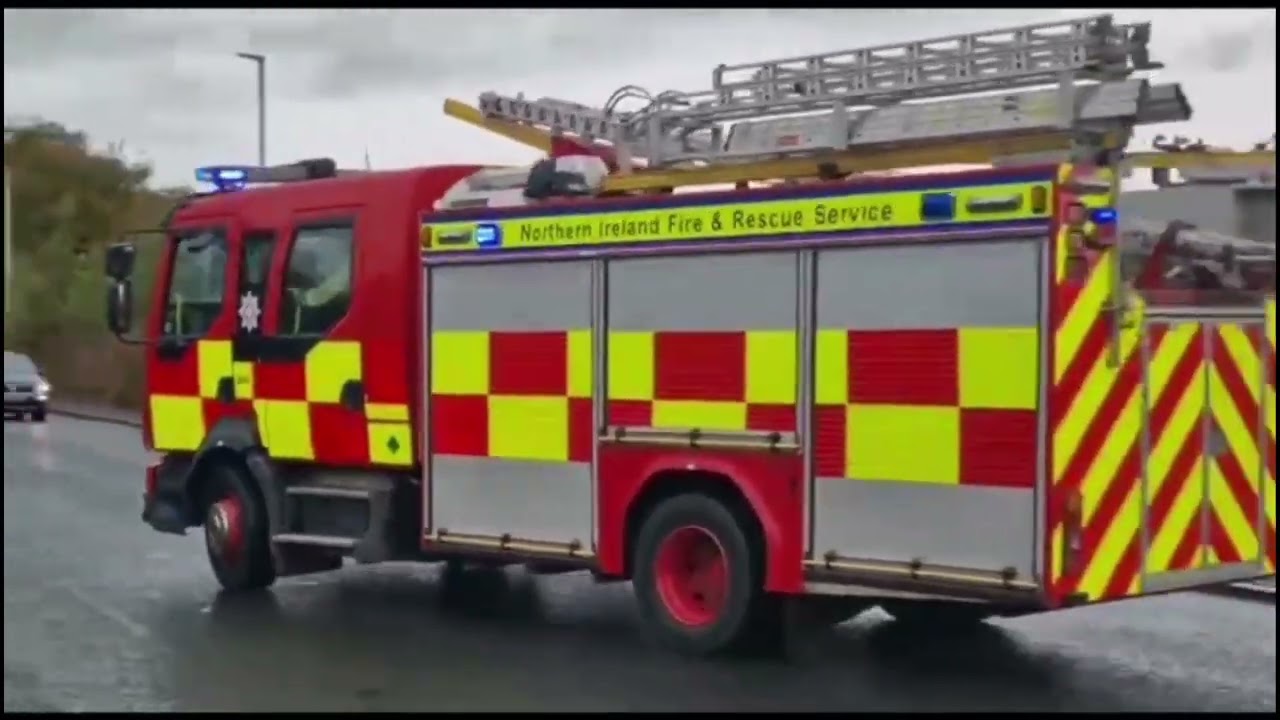 First One Across Wins Is Too Exciting Shorts Eva Alisa Family Shorts - YouTube Auto PHP Script