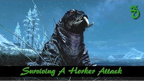 Surviving A Horker Attack - Elder Scrolls Skyrim Books